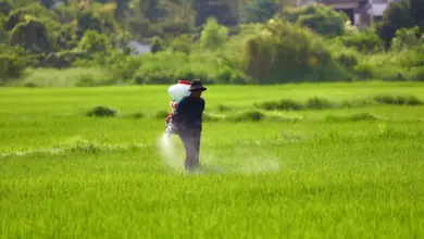 Alion: O Herbicida de Longa Duração para Controle de Plantas Daninhas